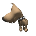 big headed tiny dog